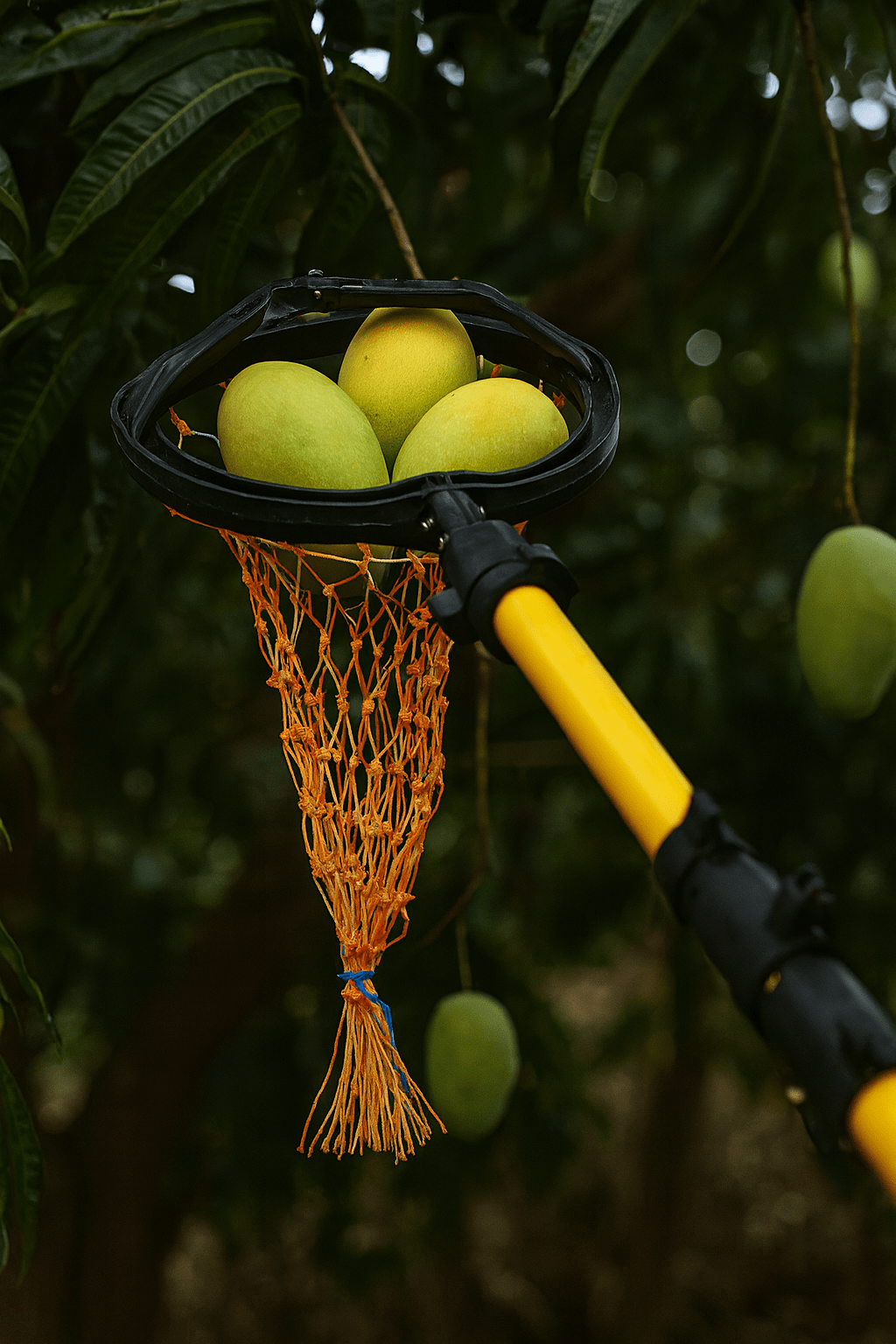 Paratis 24 Ft Telescopic Pole with Fruit Picker